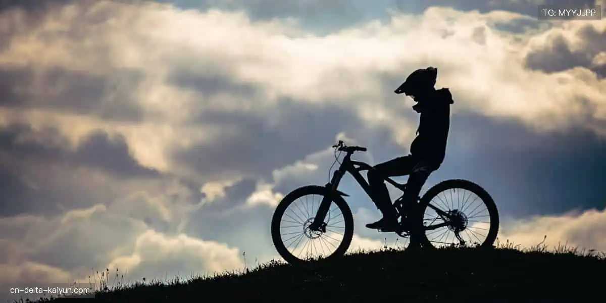 💬 弹幕狂欢，与百万球迷共享胜利喜悦！🎉